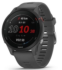 Умные часы Garmin Forerunner 255, Slate Grey (010-02641-41)